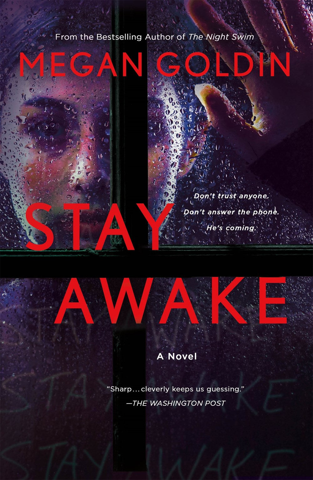 Stay Awake - Megan Goldin