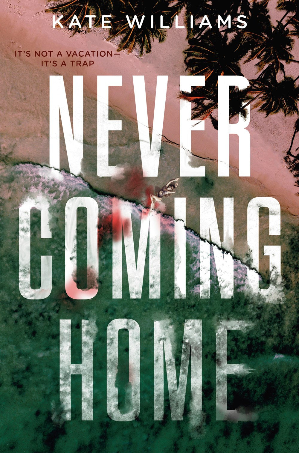 Never Coming Home - Kate M Williams