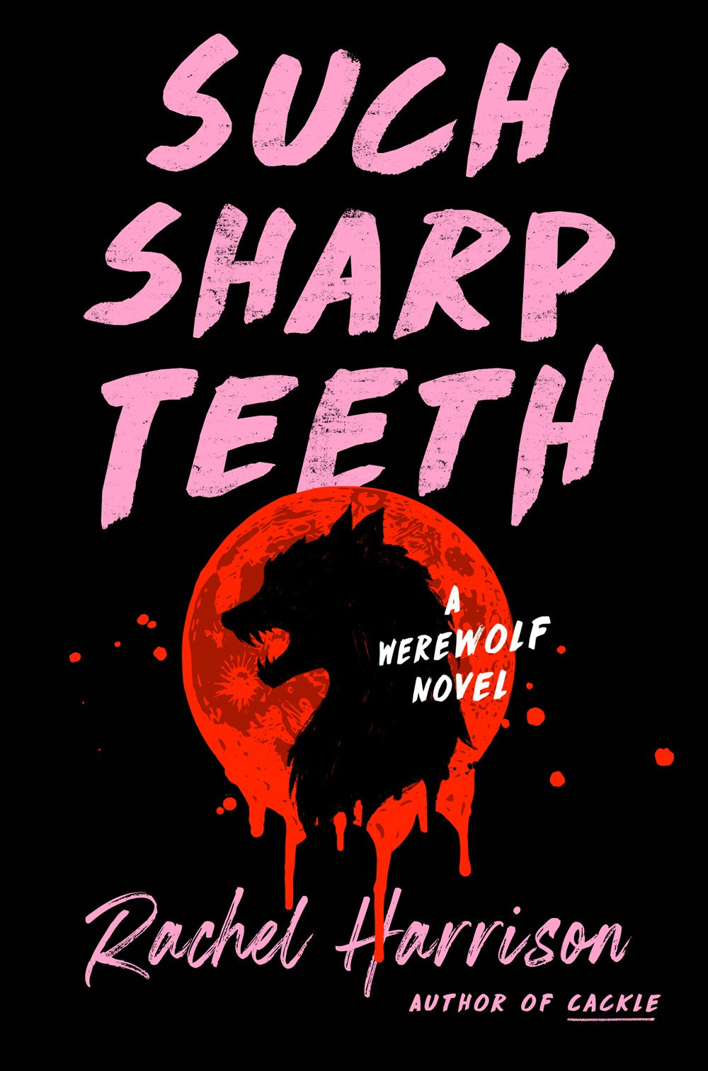 Such Sharp Teeth - Rachel Harrison