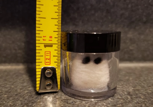 Adopt a Tiny Ghost in a Jar | FIRST CLASS/PRIORITY MAIL ONLY